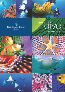 4 Seasons Dive Brochure